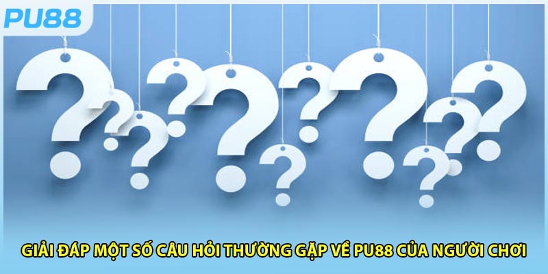 Giải đáp một số câu hỏi thường gặp về PU88 của người chơi