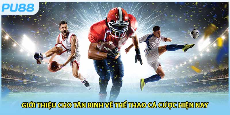 Những nội dung chính về thể thao cá cược hấp dẫn hiện nay