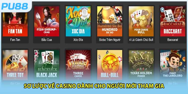 Giới thiệu cho người mới về casino đỉnh cao hiện nay
