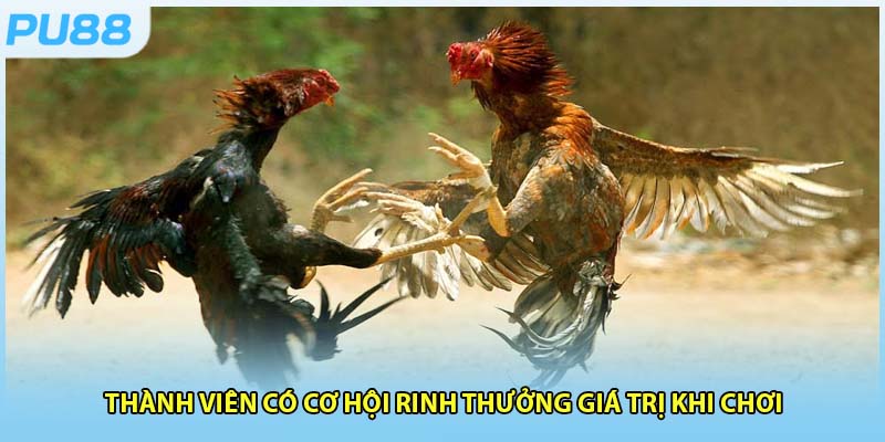Thành viên có cơ hội rinh thưởng giá trị khi chơi