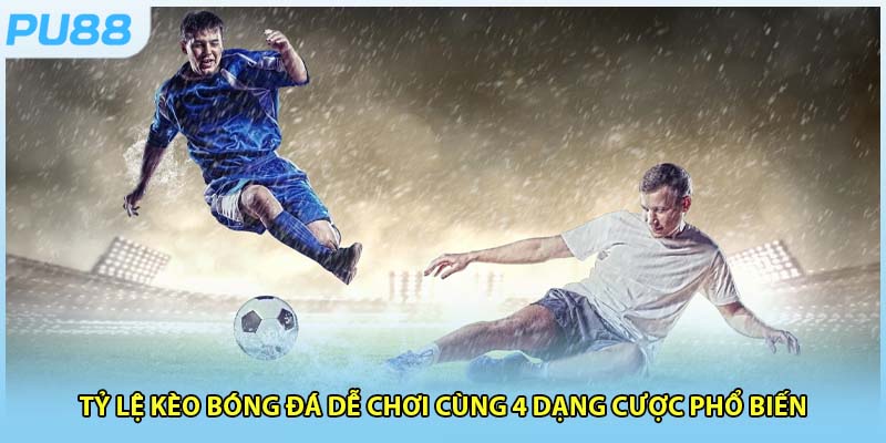 Tỷ Lệ Kèo Bóng Đá Dễ Chơi Cùng 4 Dạng Cược Phổ Biến