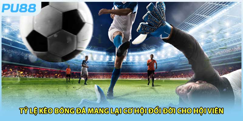 Giới thiệu chi tiết về tỷ lệ kèo bóng đá cho người mới